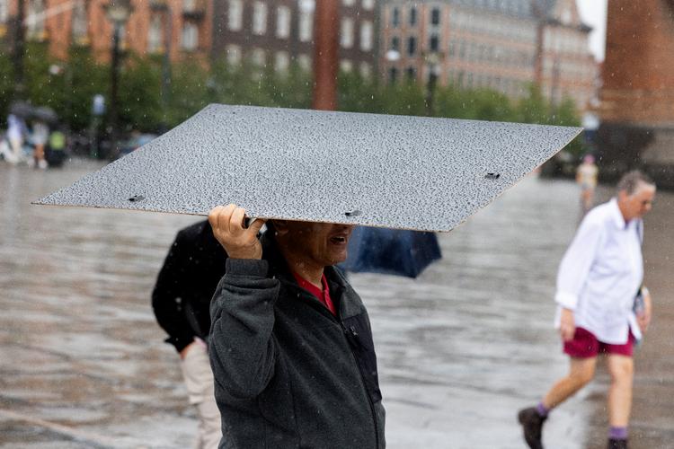 Juli blev den vådeste måned med 114,2 millimeter regn. Foto: Finn Frandsen