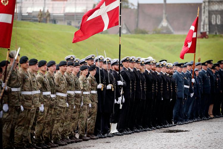 Flagdagen blev markeret for første gang 5. september 2009. Arkivfoto 