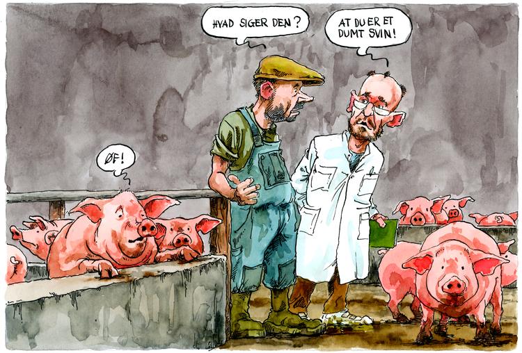 Dagens tegning Roald Als