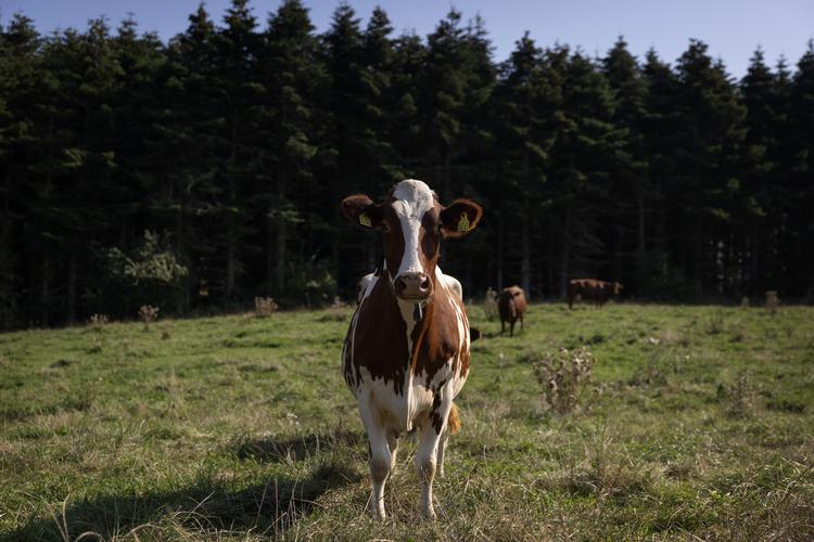 Foto: Cecilie Rolvung