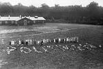 Den årlige indsamling blandt Politikens læsere har i sommeren 1923 gjort det muligt at sende nogle af storbyens fattige børn på feriekoloni i Horserødlejren. De taknemlige piger har skrevet ’Politiken’ med sig selv som bogstaver til ære for fotograf Holger Damgaard og Politikens læsere. Bemærk i øvrigt, at lejren har egen ko.  Foto: Holger Damgaard
