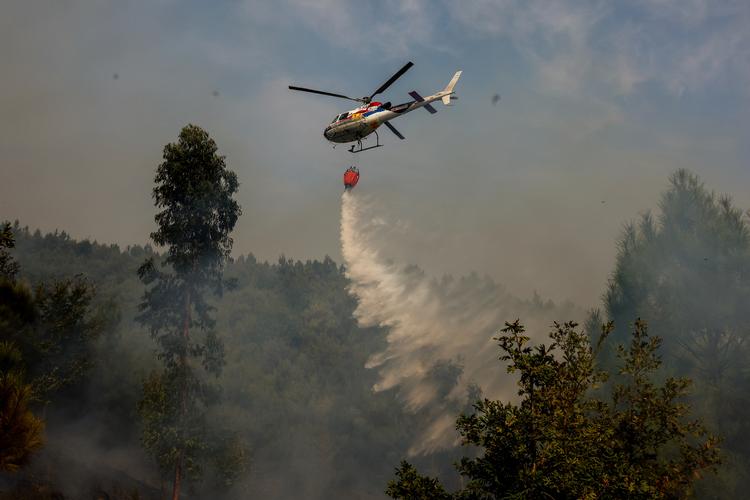 Foto: Pedro Nunes/Ritzau Scanpix