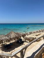 Turkisblåt hav og smukke koraller venter på stranden Mahmya. Efter en snorkeltur kan man passende tage et hvil under parasollerne. 