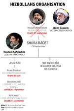 Hizbollah-organisation-TOTAL