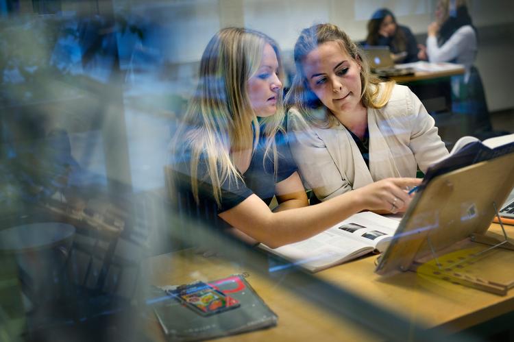 Der skal oprettes flere engelsksprogede pladser  på naturvidenskab, teknologi, ingeniørvidenskab og matematik - de såkaldte Stem-uddannelser.  Foto: Marie Hald