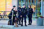 Foto: 9200 Bjorn Larsson Rosvall/Ritzau Scanpix