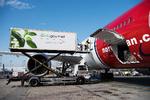 Norwegian-koncernen består foruden Norwegian også af flyselskabet Widerøe, som flyver indenrigsruter i Norge og til destinationer i Europa. Foto: Gregers Tycho