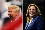     Mens Donald Trumps kampagne har oprettet falsk hjemmeside og betalt for falske annoncer imod Kamala Harris, diskuterer demokraterne, hvordan man bedst kan angribe republikanerne og Trump. Foto: Reuters/Ritzau Scanpix