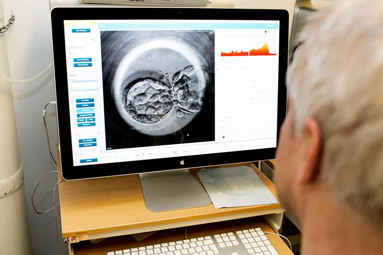 Der blev i 2023 gennemført knap 3.000 behandlinger herhjemme med donoræg, hvilket ifølge Sundhedsdatastyrelsen er en 10-dobling på 10 år. Foto: Gregers Tycho