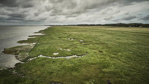Kysten ud mod Kattegat byder på flere typer natur, som ikke findes mange steder i Danmark. Foto: Claus Bjørn Larsen