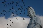 Fredsduer i formation over Guanyin, et gudindetempel i Keeling, Taiwan. Truslen om krig hænger dagligt over øens 23 millioner indbyggere, som frygter at tabe deres frihed, demokrati og ytringsfrihed til Kina. Foto: Tyrone Siu/Ritzau Scanpix
