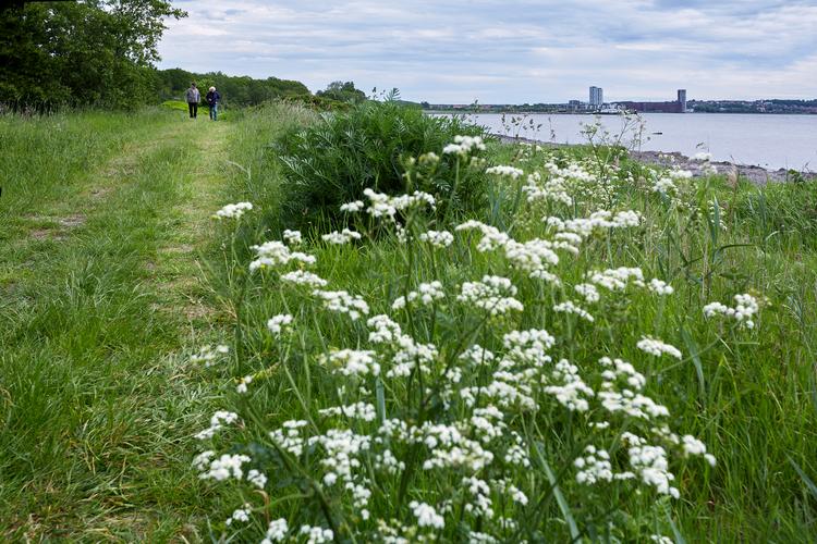 Foto: Morten Langkilde/Morten Langkilde