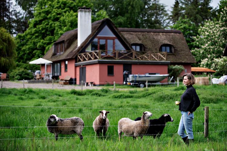 »Det er vanskeligt at holde fast i en engageret, dybfølt og forandringsparat klimasorg«, skriver Lærke Malmbak. Foto: Martin Lehmann
