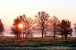 Foto: Jens Dresling