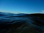 Havet er trængt ind i kunstens hellige haller. Arkivfoto. Foto: Peter Hove Olesen