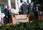 USA’s præsident, Joe Biden, benådede mandag en kalkun, som traditionen byder ved thanksgiving. Seancen blev bevidnet af John Zimmerman, formand for National Turkey Federation, og hans søn Grant.  Foto: Leah Millis/Ritzau Scanpix