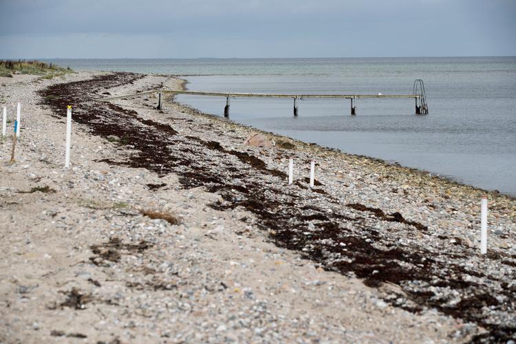 Himmark Strand har været på listen over såkaldte generationsforureninger siden 2019. Arkivfoto Lene Esthave