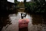 Danmark blev i oktober sidste år ramt af en såkaldt 100 års hændelse med stormflod og høj vandstand mange steder i landet - blandt andet her i Roneklint ved Faxe Bugt. Foto: Martin Lehmann