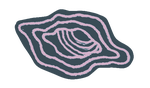 image001