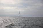 Havvindmølleparken Kriegers Flak stod færdig i år 2021. Men ingen bød på de tre havmølleparker, som Danmark udbød i december. Foto: Marcus Emil Christensen