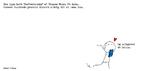 web_maren_2025-01-04