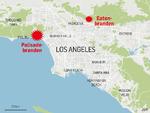Los-Angeles-Brand