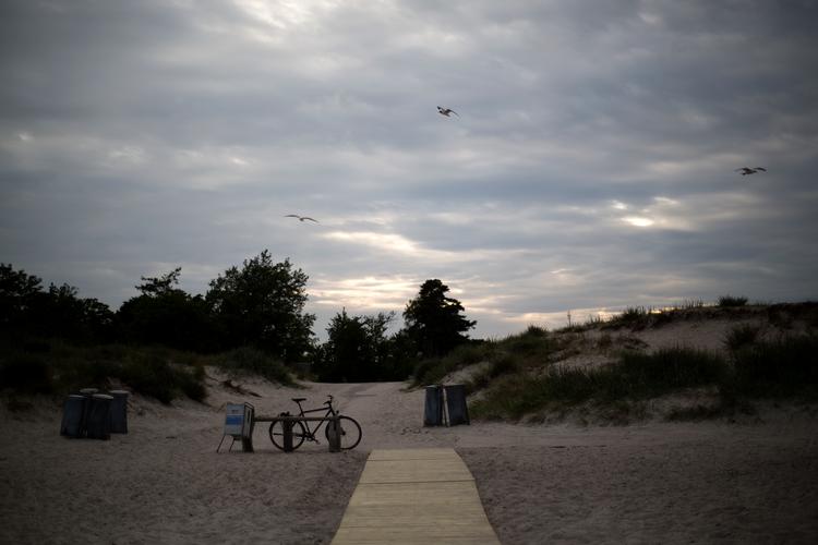 I den 25 år gamle sag blev en 11-årig pige tvunget ind i et skovområde ved Marielyst. Pigen blev voldtaget, og herefter klemte gerningsmanden så hårdt om hendes hals, at hun mistede bevidstheden.     Foto: Lars Just