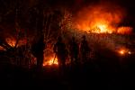 Det lokale brandvæsen ser på, mens ilden brænder sig igennem den ekstremt tørre vegetation i Los Angeles-området. Sidste vinter fik området masser af nedbør, men siden maj har der været tørke. Foto: Etienne Laurent/Ritzau Scanpix