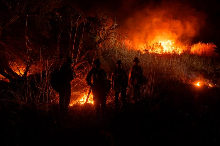 Det lokale brandvæsen ser på, mens ilden brænder sig igennem den ekstremt tørre vegetation i Los Angeles-området. Sidste vinter fik området masser af nedbør, men siden maj har der været tørke. Foto: Etienne Laurent/Ritzau Scanpix