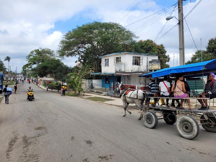 Timer efter Bidens melding tirsdag lød det fra Cubas præsident, Miguel Díaz-Canel, at Cuba ’gradvist’ ville løslade i alt 553 fanger fra landets fængsler.  Foto: David Sherwood/Ritzau Scanpix