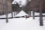I Oriana Ramunnos debutkrimi, ’Aske i sneen’, skal en kriminalkommissær opklare et mord på en SS-læge i koncentrationslejren Auschwitz ved juletid 1943.  Foto: Drahoslav Ramik/Ritzau Scanpix