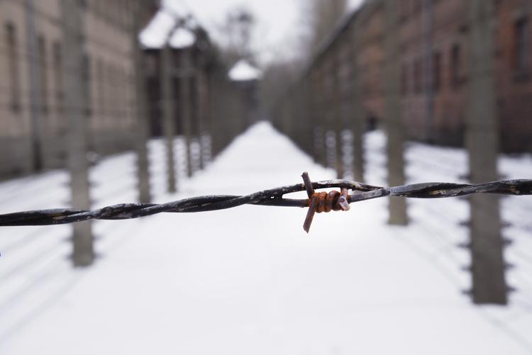 I Oriana Ramunnos debutkrimi, ’Aske i sneen’, skal en kriminalkommissær opklare et mord på en SS-læge i koncentrationslejren Auschwitz ved juletid 1943.  Foto: Drahoslav Ramik/Ritzau Scanpix
