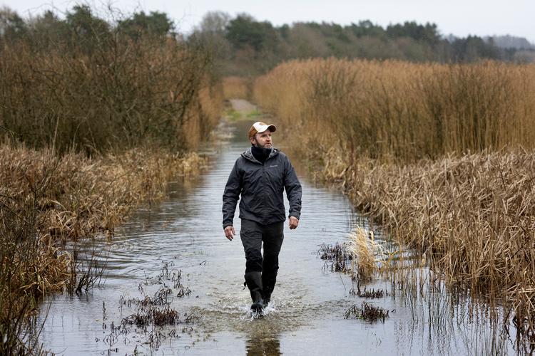Peder Størup på et oversvømmet område af Gudenåen, som er en miniudgave af det, han håber, at området ved Tange Sø kan blive til. Det kræver dog, at søen bliver drænet. Foto: Finn Frandsen
