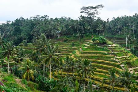 Foto: Winfried Rothermel/Ritzau Scanpix