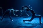 Der har​ i vor tid været flere koreograferede opførelser af ’Carmina burana’.​ Arkivfoto: Soren Meisner