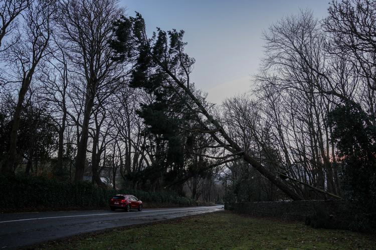 Flere end en million borgere i Irland og Storbritannien har været uden strøm som følge af det voldsomme vejr, og mange fly- og togafgange er blevet aflyst. Foto: Karen Cox/Ritzau Scanpix