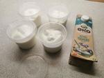 Yoghurt2