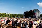 Tinderbox finder sted i Tusindårsskoven ved Odense fra 26. til 28. juni. Foto: Per Lange/Per Lange