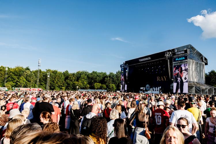 Tinderbox finder sted i Tusindårsskoven ved Odense fra 26. til 28. juni. Foto: Per Lange/Per Lange