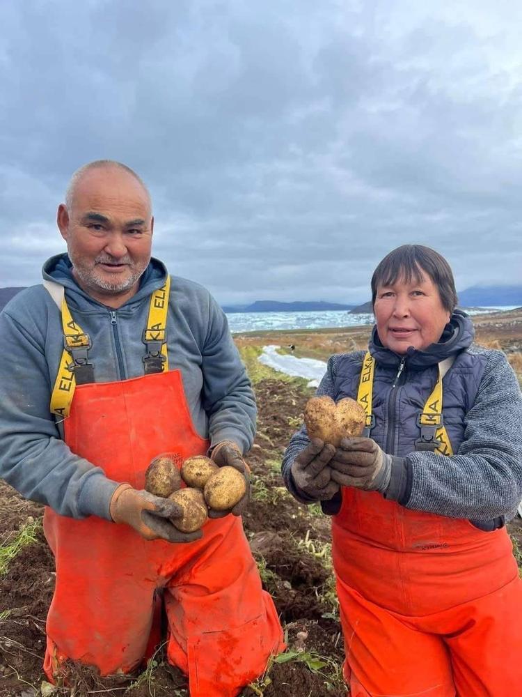 Ferdinand Egede (tv) er kartoffelavler i Sydgrønland sammen med sine kone, Arnaq Egede (th), og de håber at kunne udvide produktionen til også at omfatte blåbær og gulerødder.   Foto: Privatfoto