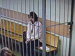 Foto: Moscow City Court's Press Office/Ritzau Scanpix