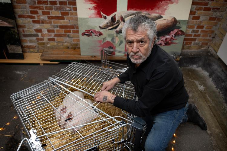 Kunstneren Marco Evaristti står bag udstillingen 'And Now You Care', der handler om Danmarks svineproduktion. Lørdag blev den centrale del, tre smågrise, dog stjålet. Foto: Finn Frandsen