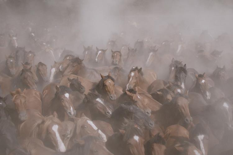 Foto: Maria Goya Barquet