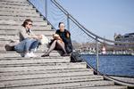 Forårsvejret er kommet. »Temperaturen får så et nøk opad med 10 til 15 grader, og lokalt kan det blive helt op til 17 grader«, lyder det fra DMI. Foto: Marius Renner