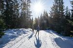 Nordmarka byder på 2.600 km langrendsspor i kuperet terræn, der veksler mellem skov og mere åbne områder. 