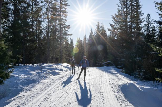 Nordmarka byder på 2.600 km langrendsspor i kuperet terræn, der veksler mellem skov og mere åbne områder. 