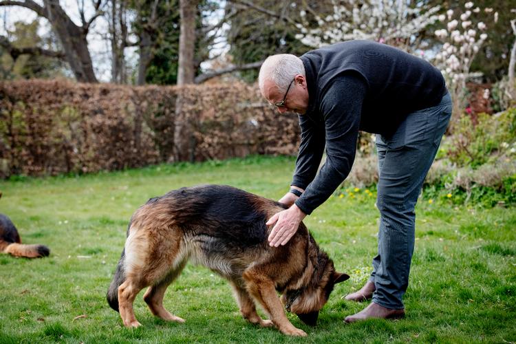 Professor Jens Lundgren er i haven med hunden Ben. Lundgren er meget opmærksom på, at både han og hunden holder sig fra syge eller døde vilde fugle. De kan være smittet med fugleinfluenza, som er en sygdom, professoren holder skarpt øje med.   Arkivfoto:  Valdemar Ren