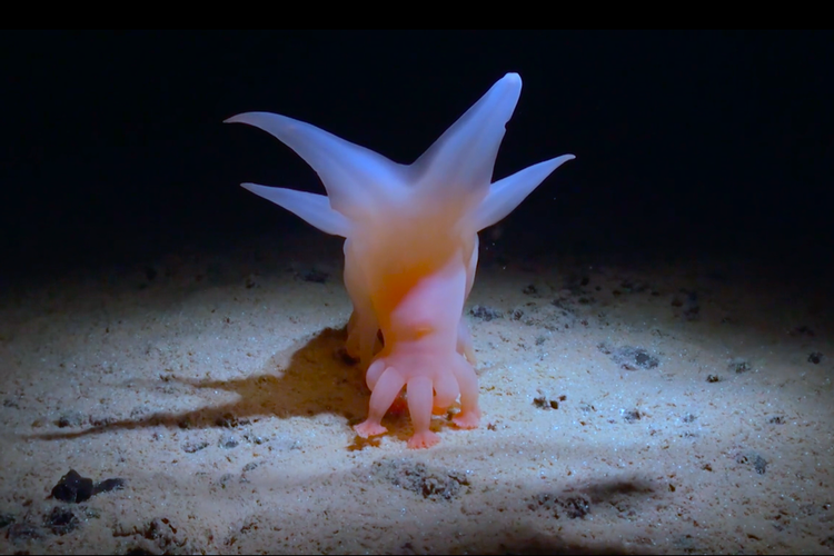 Foto: Still fra filmen/CPH:DOX