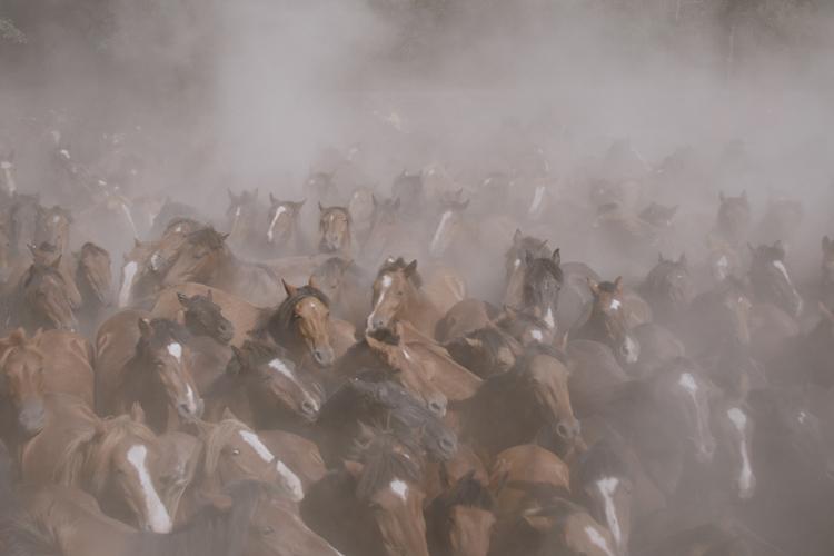 Foto: Still fra filmen/CPH:DOX