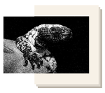 Kollage: Freja Juul Pedersen Foto: wikimedia commons